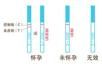验孕试纸